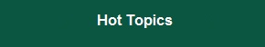 Hot Topics Icon